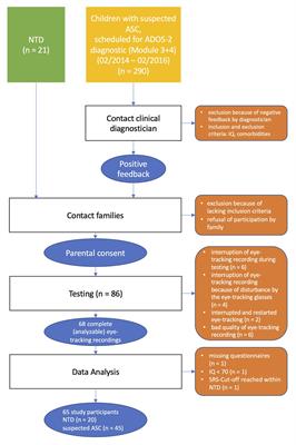 ADOS-Eye-Tracking: The Archimedean Point of View and Its Absence in Autism Spectrum Conditions
